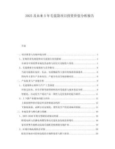 2025及未來5年毛毯袋項目投資價值分析報告