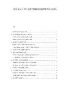 2025及未來(lái)5年香薰手機(jī)鏈項(xiàng)目投資價(jià)值分析報(bào)告