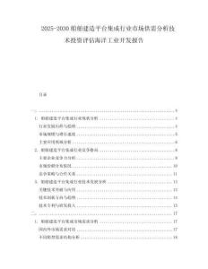 2025-2030船舶建造平臺(tái)集成行業(yè)市場供需分析技術(shù)投資評(píng)估海洋工業(yè)開發(fā)報(bào)告