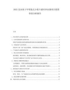 2025及未來5年明裝式小便斗感應(yīng)沖水器項(xiàng)目投資價(jià)值分析報(bào)告