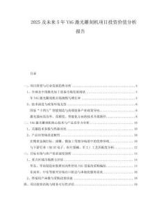2025及未來5年YAG激光雕刻機(jī)項目投資價值分析報告