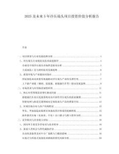 2025及未來5年冷壓端頭項目投資價值分析報告