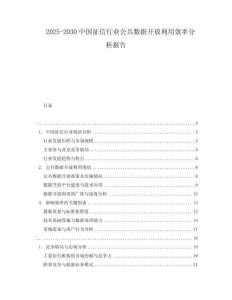 2025-2030中國征信行業(yè)公共數(shù)據(jù)開放利用效率分析報(bào)告
