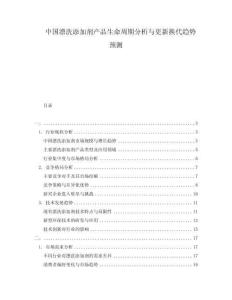 中國(guó)漂洗添加劑產(chǎn)品生命周期分析與更新?lián)Q代趨勢(shì)預(yù)測(cè)