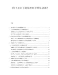 2025及未來5年套管壁虎項目投資價值分析報告