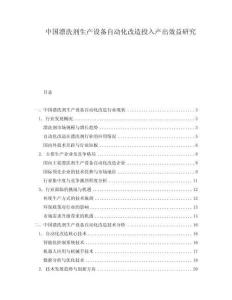 中國(guó)漂洗劑生產(chǎn)設(shè)備自動(dòng)化改造投入產(chǎn)出效益研究