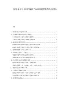 2025及未來5年吊線格子布項目投資價值分析報告