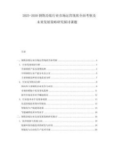 2025-2030鋼鐵冶煉行業(yè)市場(chǎng)運(yùn)營(yíng)現(xiàn)狀全面考察及未來(lái)發(fā)展策略研究探討課題