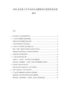 2025及未來5年手動對夾式蝶閥項目投資價值分析報告