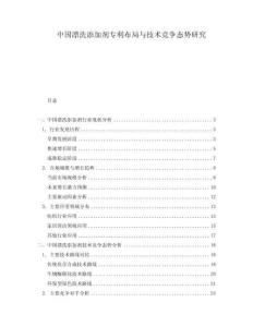 中國(guó)漂洗添加劑專(zhuān)利布局與技術(shù)競(jìng)爭(zhēng)態(tài)勢(shì)研究