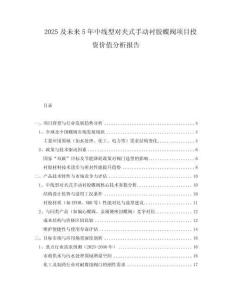 2025及未來5年中線型對夾式手動襯膠蝶閥項目投資價值分析報告