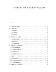 中國攀巖鞋行業(yè)抓地力技術(shù)與專業(yè)賽事影響