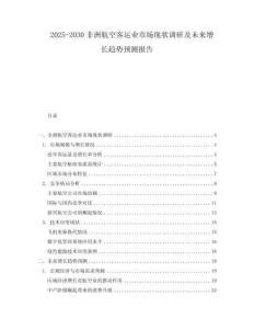 2025-2030非洲航空客運業(yè)市場現(xiàn)狀調(diào)研及未來增長趨勢預(yù)測報告