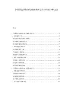 中國漂洗添加劑行業(yè)低碳轉(zhuǎn)型路徑與碳中和方案