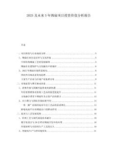 2025及未來(lái)5年綢扇項(xiàng)目投資價(jià)值分析報(bào)告
