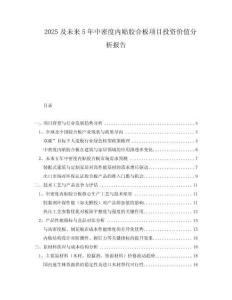 2025及未來(lái)5年中密度內(nèi)貼膠合板項(xiàng)目投資價(jià)值分析報(bào)告