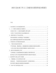 2025及未來(lái)5年上工臺(tái)板項(xiàng)目投資價(jià)值分析報(bào)告