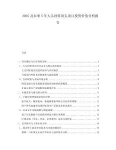 2025及未來5年大頭回轉(zhuǎn)頂尖項(xiàng)目投資價(jià)值分析報(bào)告