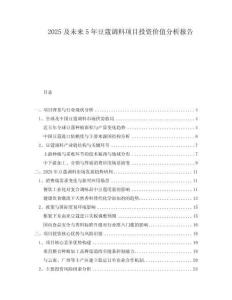 2025及未來5年豆蔻調(diào)料項目投資價值分析報告