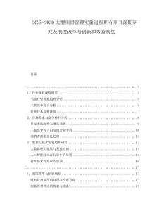 2025-2030大型項(xiàng)目管理實(shí)施過(guò)程所有項(xiàng)目深度研究及制度改革與創(chuàng)新和效益規(guī)劃