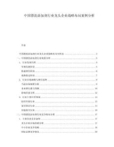 中國漂洗添加劑行業(yè)龍頭企業(yè)戰(zhàn)略布局案例分析