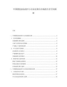 中國漂洗添加劑中小企業(yè)在細(xì)分市場的生存空間探析