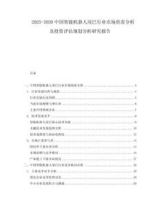 2025-2030中國(guó)智能機(jī)器人尾巴行業(yè)市場(chǎng)供需分析及投資評(píng)估規(guī)劃分析研究報(bào)告
