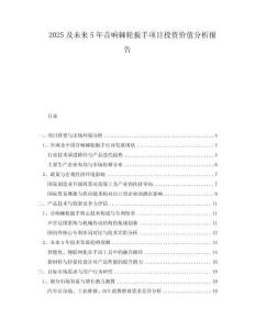 2025及未來5年音響棘輪扳手項(xiàng)目投資價(jià)值分析報(bào)告