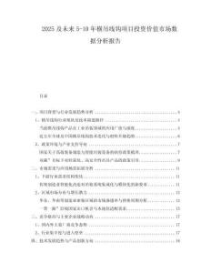 2025及未來5-10年橫吊線鉤項(xiàng)目投資價(jià)值市場(chǎng)數(shù)據(jù)分析報(bào)告