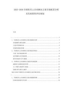 2025-2030全球私有云企業(yè)解決方案市場(chǎng)配置分析及發(fā)展投資評(píng)估規(guī)劃