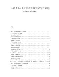 2025至2030中國飛機管理處行業(yè)深度研究及發(fā)展前景投資評估分析