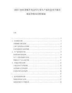 2025-2030滑板車電動(dòng)車行業(yè)生產(chǎn)成本技術(shù)升級市場競爭格局分析規(guī)劃