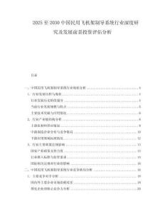 2025至2030中國民用飛機架制導(dǎo)系統(tǒng)行業(yè)深度研究及發(fā)展前景投資評估分析