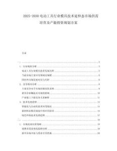 2025-2030電動(dòng)工具行業(yè)模具技術(shù)延伸態(tài)市場(chǎng)供需培育及產(chǎn)能投資規(guī)劃方案
