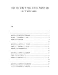 2025-2030超級(jí)計(jì)算機(jī)核心部件市場(chǎng)供需現(xiàn)狀分析及產(chǎn)業(yè)發(fā)展規(guī)劃報(bào)告
