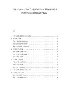2025-2030中國電子支付系統(tǒng)行業(yè)市場深度調(diào)研及發(fā)展趨勢和前景預(yù)測研究報告