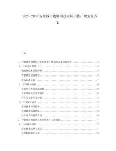 2025-2030智慧城市物聯(lián)網(wǎng)技術(shù)應(yīng)用推廣規(guī)劃及方案