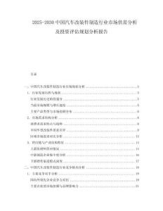2025-2030中國汽車改裝件制造行業(yè)市場供需分析及投資評估規(guī)劃分析報告