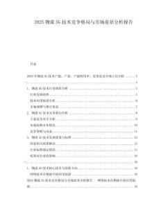 2025物流5G技術(shù)競(jìng)爭(zhēng)格局與市場(chǎng)前景分析報(bào)告