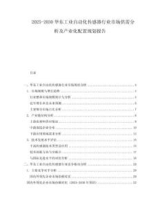 2025-2030華東工業(yè)自動化傳感器行業(yè)市場供需分析及產(chǎn)業(yè)化配置規(guī)劃報告