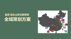 宜賓·龍頭山農(nóng)文旅項目全域策劃方案