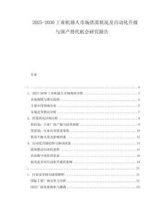 2025-2030工業(yè)機器人市場供需狀況及自動化升級與國產(chǎn)替代機會研究報告