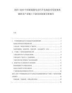 2025-2030中國新能源電動汽車電池技術(shù)發(fā)展現(xiàn)狀調(diào)研及產(chǎn)業(yè)鏈上下游協(xié)同創(chuàng)新分析報告