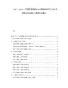 2025-2030中國攝影攝像行業(yè)市場現(xiàn)狀供需分析及投資評估規(guī)劃分析研究報告