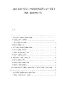 2025-2030中國汽車變速器系統(tǒng)研發(fā)進(jìn)展與制造企業(yè)技術(shù)投資分析方案