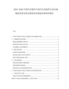 2025-2030中國汽車配件中的汽車改裝件行業(yè)市場現(xiàn)狀供需分析及投資評估規(guī)劃分析研究報告