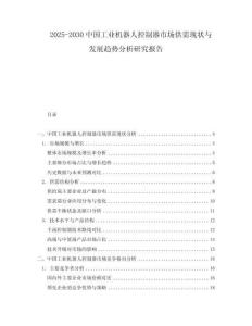 2025-2030中國工業(yè)機器人控制器市場供需現(xiàn)狀與發(fā)展趨勢分析研究報告
