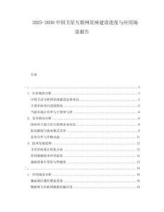 2025-2030中國(guó)衛(wèi)星互聯(lián)網(wǎng)星座建設(shè)進(jìn)度與應(yīng)用場(chǎng)景報(bào)告