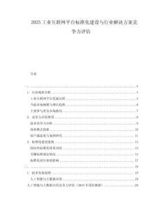 2025工業(yè)互聯(lián)網(wǎng)平臺(tái)標(biāo)準(zhǔn)化建設(shè)與行業(yè)解決方案競(jìng)爭(zhēng)力評(píng)估