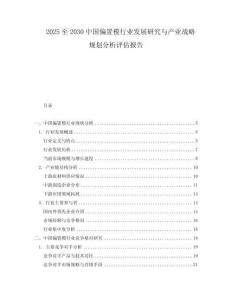 2025至2030中國(guó)偏置模行業(yè)發(fā)展研究與產(chǎn)業(yè)戰(zhàn)略規(guī)劃分析評(píng)估報(bào)告